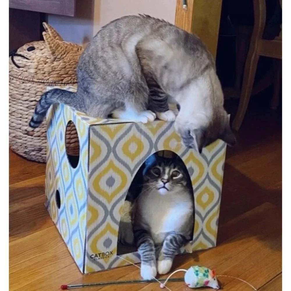 Meow Yellow Cat House with Scratcher, Cat Condo, Cardboard Cat‎ Playhouse